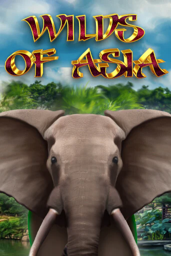 Играть в слот Wilds of Asia бесплатно онлайн | Азино Три Топора